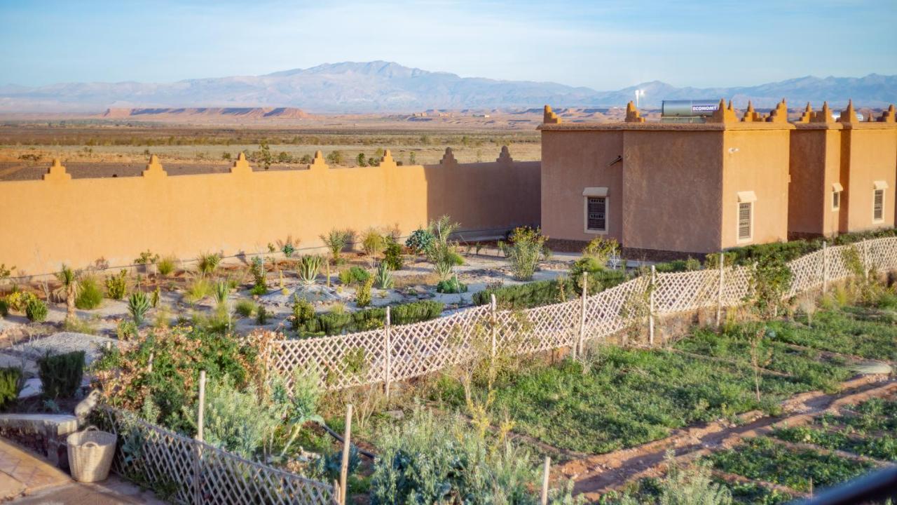 Ecolodge L'Ile De Ouarzazate Tarmigt Esterno foto